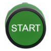 Picture of Harmony XB5, Push button head, plastic, flush, green, 22mm, spring return, marked START