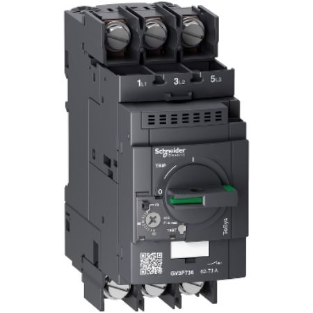 Picture of Motor circuit breaker,TeSys Deca frame 3,3P,62-73A,thermal magnetic,lugs terminals