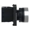Picture of Complete push button, Easy Harmony XA2, plastic, flush, green, 22mm, spring return, unmarked, 1NO