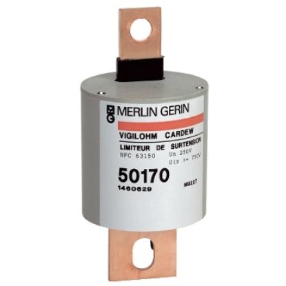 Picture of cartridge Cardew - type C - 250 V