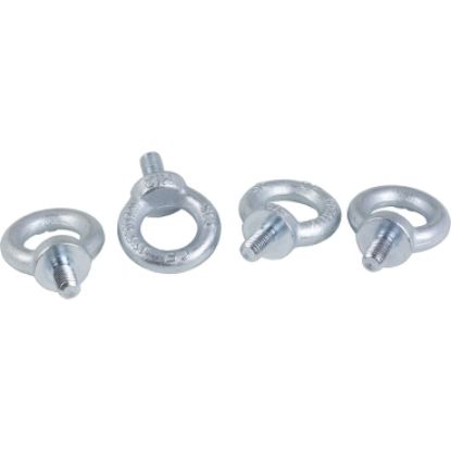 Picture of Lifting eyebolts, PanelSeT SFN, Spacial SF, steel , M12 , set of 4