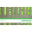 Picture of license, EcoStruxure Control Engineering, virtual machine infrastructure for on premise server licenses