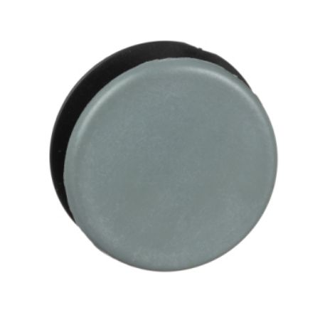 Picture of Blanking plug, Harmony 9001K, Harmony 9001SK, grey, 30mm
