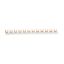 Picture of Clipsal MAX4, Fork type busbar 1P 80 A 12 modules