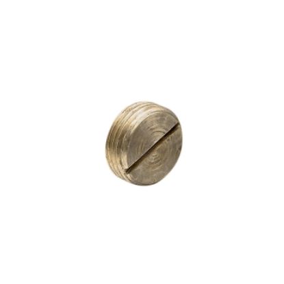 Picture of Clipsal - Cable Management, Series 1220S Brass Plugs, 20mm, Screwed Conduit, Brass Plug